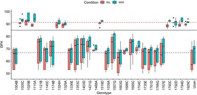 Dissection of a grain yield QTL from wild emmer wheat reveals sub-intervals associated with culm length and kernel number